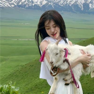 我不是坏蛋短剧版